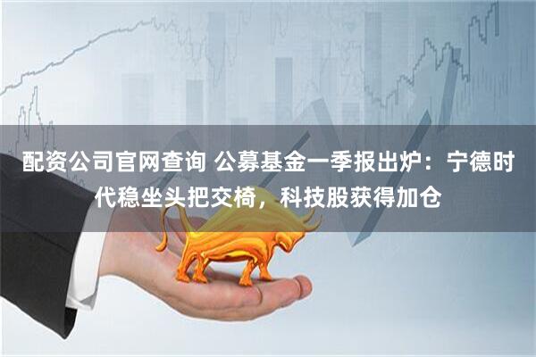 配资公司官网查询 公募基金一季报出炉：宁德时代稳坐头把交椅，科技股获得加仓