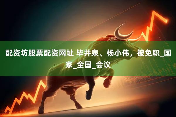 配资坊股票配资网址 毕井泉、杨小伟，被免职_国家_全国_会议