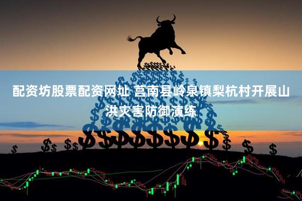 配资坊股票配资网址 莒南县岭泉镇梨杭村开展山洪灾害防御演练