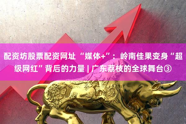 配资坊股票配资网址 “媒体+”：岭南佳果变身“超级网红”背后的力量 | 广东荔枝的全球舞台③