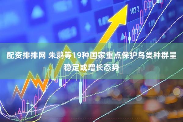 配资排排网 朱鹮等19种国家重点保护鸟类种群呈稳定或增长态势